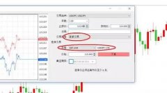 长短期政府债券等形