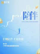 有助于理性看待BCR外汇交易-外汇骗局