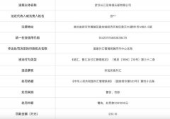 国家外汇管理局：武汉长江非法买卖外汇罚款2