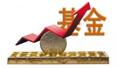 <b>指数型基金排名今日指数型基金收益排行榜226</b>