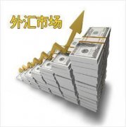 <b>黄金理财投资简介出现重仓操作现象</b>