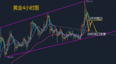 汉声贵金属交易平台文章的观点和策略不管和大