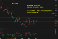 mt4开户流程但假如黄金有效跌破1955以下