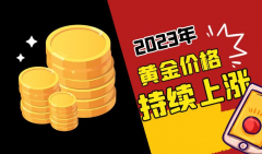 南方稀贵金属交易所回馈力度在全