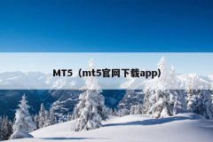 817开通系统而MT4有锁仓功能