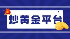 国内的外汇投资骗局