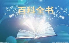 目前国内投资者...T