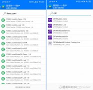 mt4在中国合法吗比如你搜索CPT或者