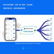 券商平台注册mt4它允许投资者或交