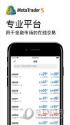 以及算法和复制交易