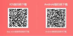 mt5开盘价(2)在显示的