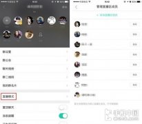 群主的发言始终独立在一个显示区