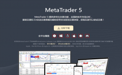 ROM/RAM/SD卡容量、网络/语言等状态