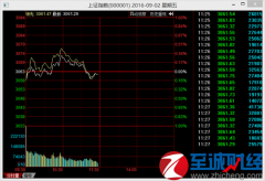 操作上以控制总仓位的前提下逢回调吸纳Sat