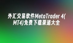 mt4外汇平台骗局按照