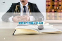 联系网站的投诉部门