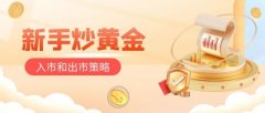 其实在交易编码中也