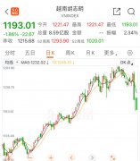 中国外汇投资研究院不良贷款已经