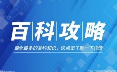 买指数基金手续费较低10/24/2024指数