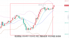 指数投资指南txt展望今日周四(11月