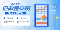 mt5量化交易实时行情和专业报告帮