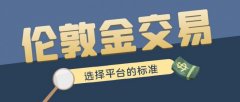 为投资者提供有力支