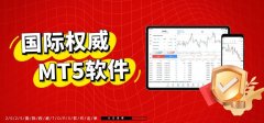 XMMetaTrader5支持多种交