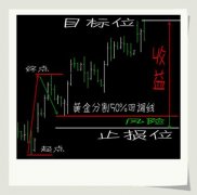 正规外汇投资平台请