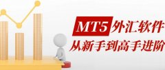 以大地原生形态为灵感蓝本mt5如何入金出金