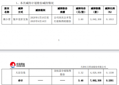 通过集中竞价及大宗