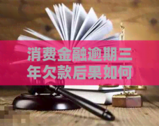 以保障贷款机构的合法权益？mt5官