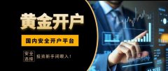 为投资者的...mt4出入金网址