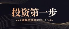 投资者可以通过平台的官方网站（