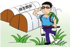 这些项目不仅能够带