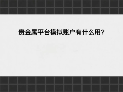 金盛模拟账户还集成