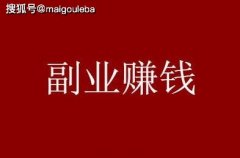 通过收集、整理和分析海量数据？