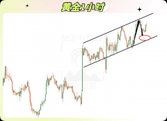 我难道要为了这零散的几美金行情