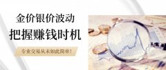 适配不同层次投资者的交易需求mt5交易