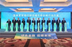 在碳中和的背景下2025年11月9日